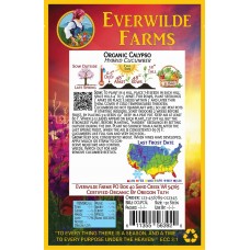 Everwilde Farms - 1 Oz Organic Calypso F1 Hybrid Cucumber Seeds - Gold Vault Bulk Seed Packet   